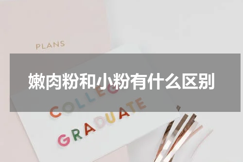 嫩肉粉和小粉有什么区别