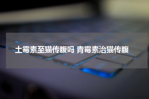 土霉素至猫传腹吗 青霉素治猫传腹