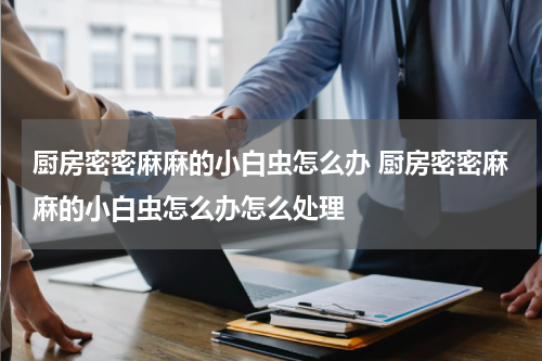 厨房密密麻麻的小白虫怎么办 厨房密密麻麻的小白虫怎么办怎么处理