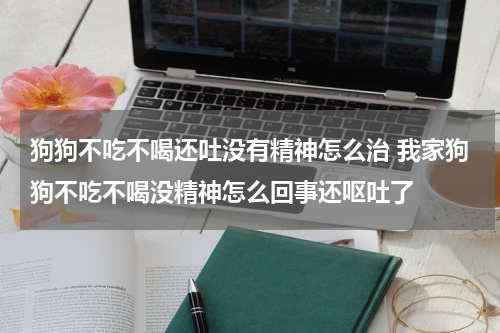 狗狗不吃不喝还吐没有精神怎么治 我家狗狗不吃不喝没精神怎么回事还呕吐了