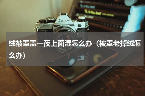 绒被罩盖一夜上面湿怎么办（被罩老掉绒怎么办）