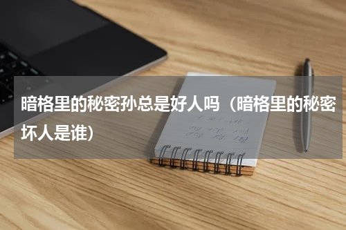暗格里的秘密孙总是好人吗（暗格里的秘密坏人是谁）