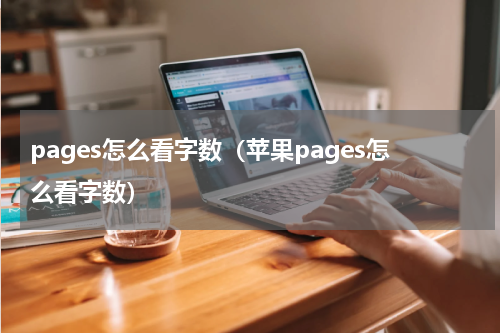 pages怎么看字数（苹果pages怎么看字数）