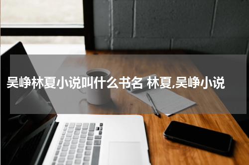 吴峥林夏小说叫什么书名 林夏,吴峥小说