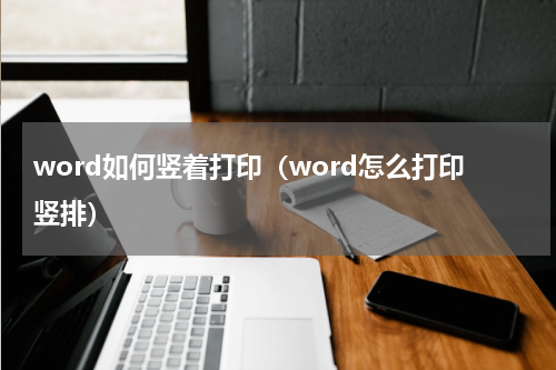 word如何竖着打印（word怎么打印竖排）