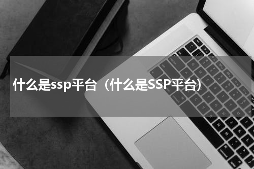 什么是ssp平台（什么是SSP平台）