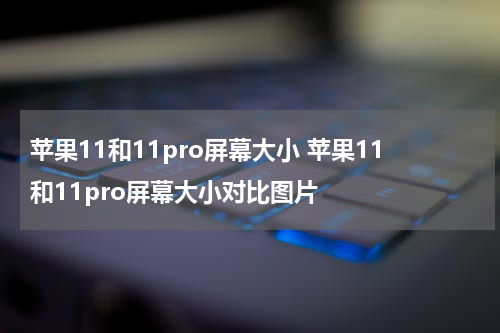 苹果11和11pro屏幕大小 苹果11和11pro屏幕大小对比图片