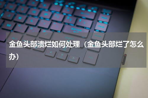 金鱼头部溃烂如何处理（金鱼头部烂了怎么办）