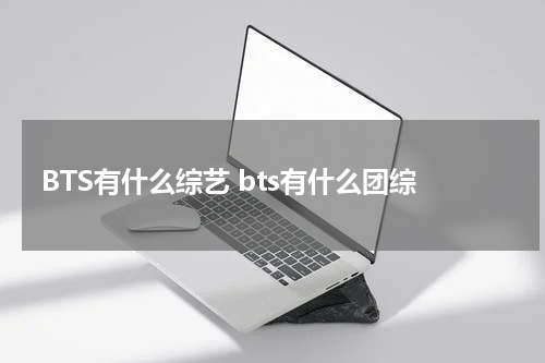 BTS有什么综艺 bts有什么团综