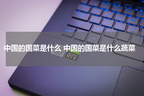 中国的国菜是什么 中国的国菜是什么蔬菜