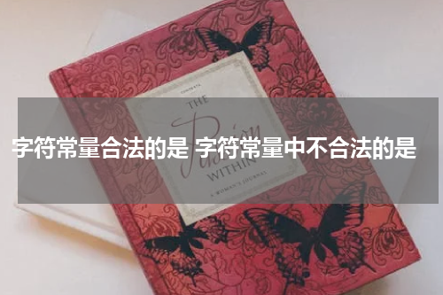字符常量合法的是 字符常量中不合法的是