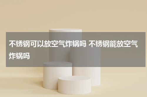 不锈钢可以放空气炸锅吗 不锈钢能放空气炸锅吗