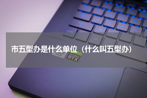 市五型办是什么单位（什么叫五型办）