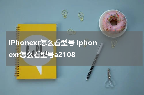 iPhonexr怎么看型号 iphonexr怎么看型号a2108
