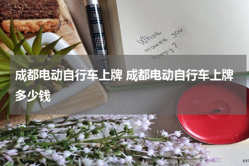成都电动自行车上牌 成都电动自行车上牌多少钱