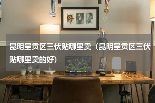 昆明呈贡区三伏贴哪里卖（昆明呈贡区三伏贴哪里卖的好）