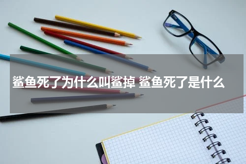 鲨鱼死了为什么叫鲨掉 鲨鱼死了是什么