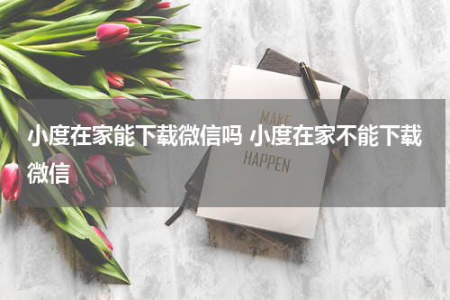 小度在家能下载微信吗 小度在家不能下载微信