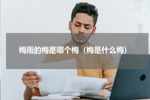 梅雨的梅是哪个梅（梅是什么梅）