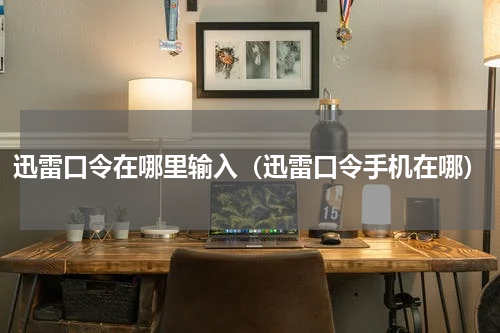 迅雷口令在哪里输入（迅雷口令手机在哪）