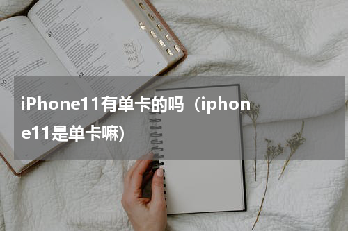 iPhone11有单卡的吗（iphone11是单卡嘛）