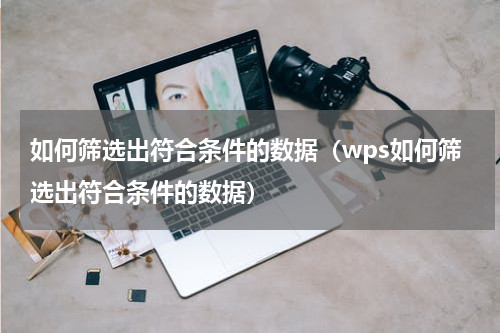 如何筛选出符合条件的数据（wps如何筛选出符合条件的数据）