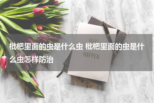 枇杷里面的虫是什么虫 枇杷里面的虫是什么虫怎样防治