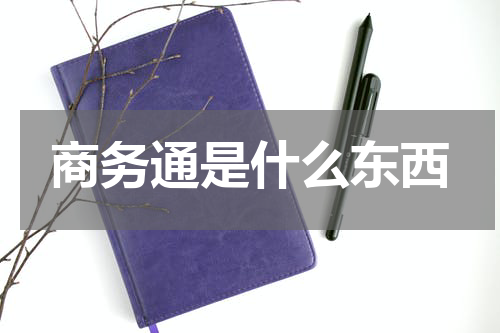 商务通是什么东西