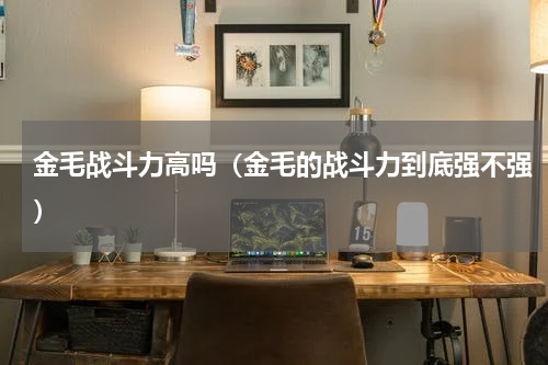 金毛战斗力高吗（金毛的战斗力到底强不强）