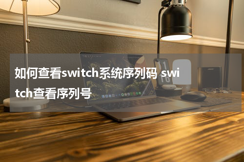 如何查看switch系统序列码 switch查看序列号