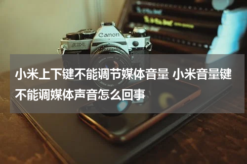 小米上下键不能调节媒体音量 小米音量键不能调媒体声音怎么回事