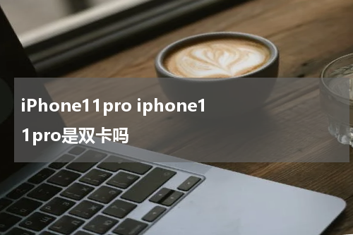 iPhone11pro iphone11pro是双卡吗