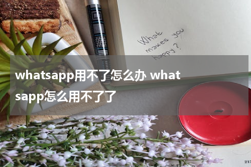 whatsapp用不了怎么办 whatsapp怎么用不了了