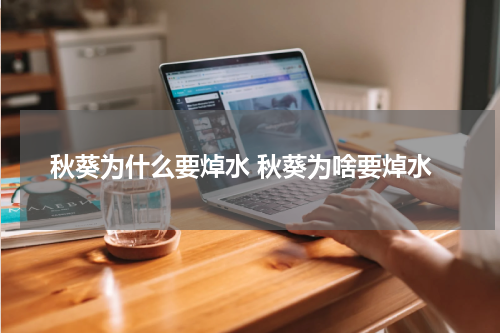 秋葵为什么要焯水 秋葵为啥要焯水