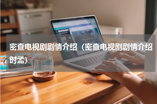 密查电视剧剧情介绍（密查电视剧剧情介绍时孟）
