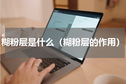 糊粉层是什么（糊粉层的作用）