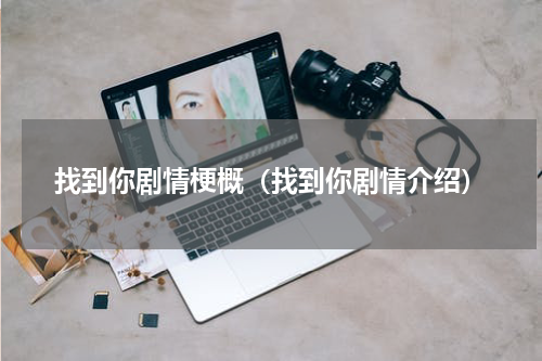 找到你剧情梗概（找到你剧情介绍）
