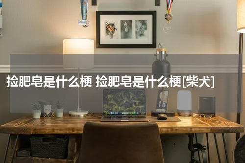 捡肥皂是什么梗 捡肥皂是什么梗[柴犬]
