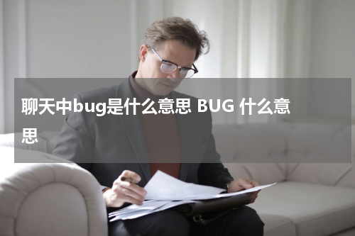 聊天中bug是什么意思 BUG 什么意思