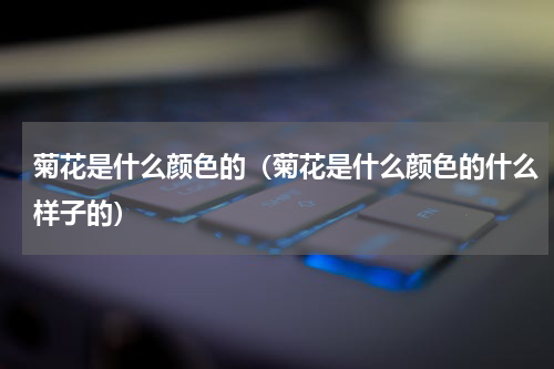 菊花是什么颜色的（菊花是什么颜色的什么样子的）