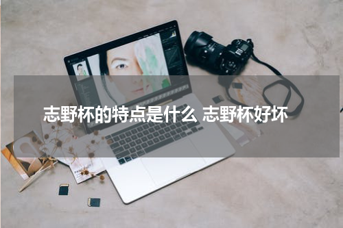 志野杯的特点是什么 志野杯好坏