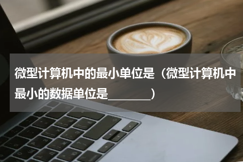 微型计算机中的最小单位是（微型计算机中最小的数据单位是________）