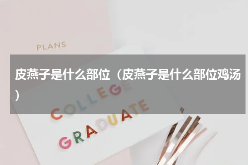 皮燕子是什么部位（皮燕子是什么部位鸡汤）