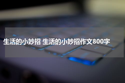 生活的小妙招 生活的小妙招作文800字
