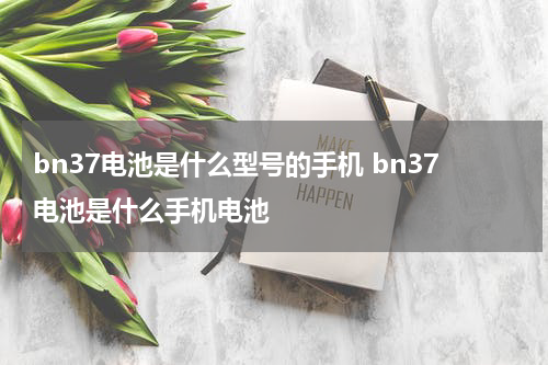 bn47是小米什么型号