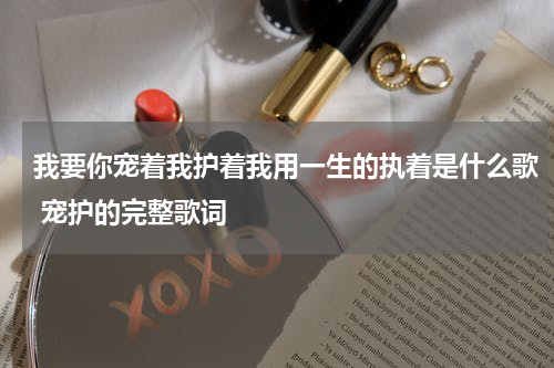 我要你宠着我护着我用一生的执着是什么歌 宠护的完整歌词