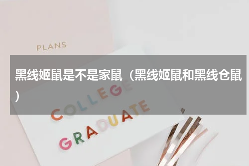 黑线姬鼠是不是家鼠（黑线姬鼠和黑线仓鼠）