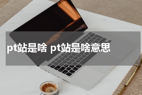 pt站是啥 pt站是啥意思