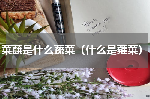 菜蕻是什么蔬菜（什么是蕹菜）