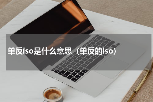 单反iso是什么意思（单反的iso）